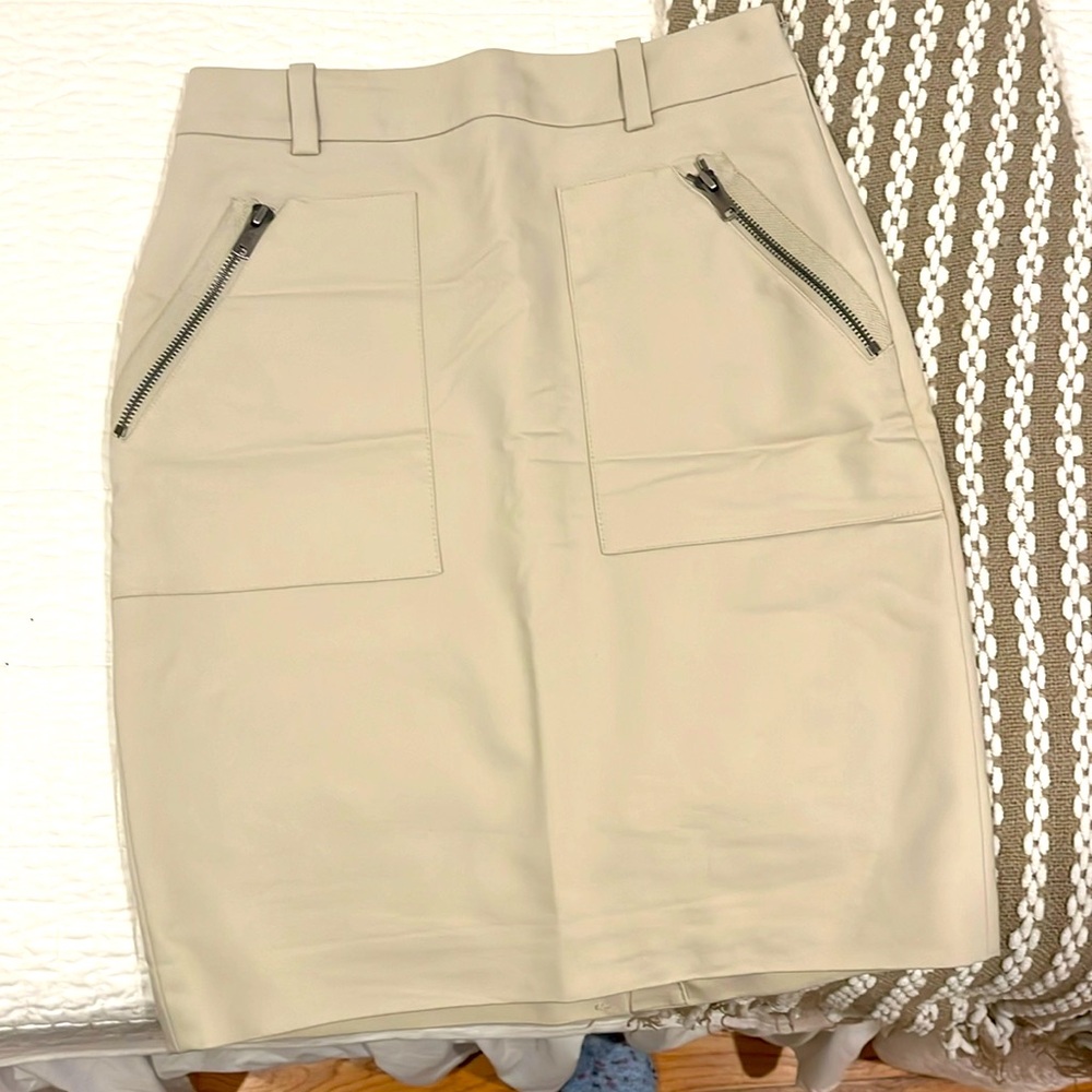 Ann Taylor skirt